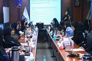 برگزاری کارگاه آموزشی برنامه سالمندان، ویژه مراقبین سلامت در شبکه بهداشت ودرمان اسلامشهر